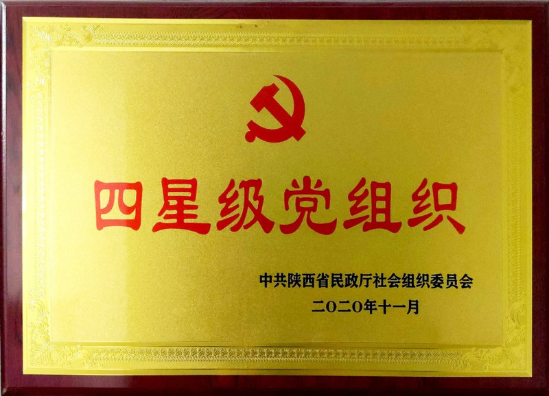 陕西省建筑节能协会党支部荣获四星级社会组织党支部.jpg